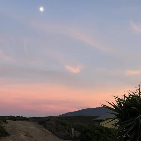 Sunsethouse Pistis *